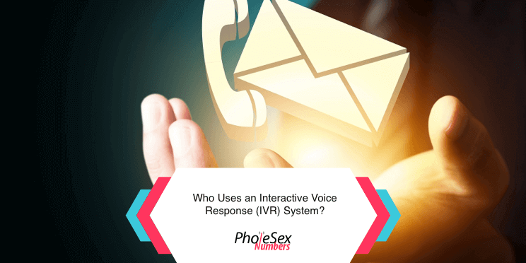 Who uses IVR systems?